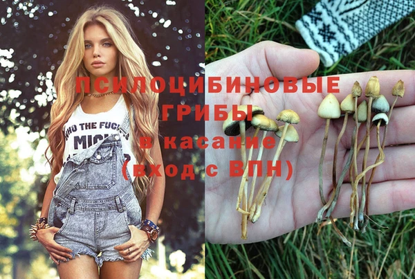 дживик Волосово