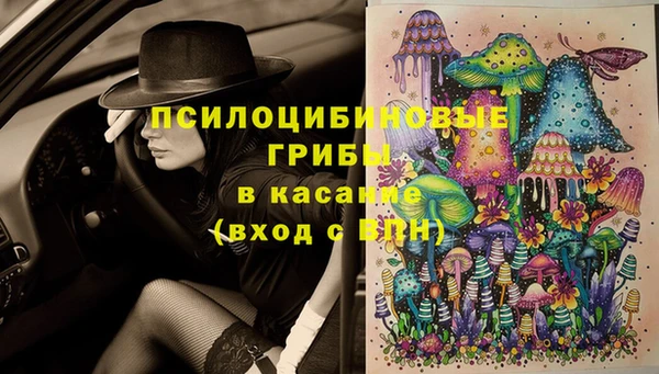 дживик Волосово